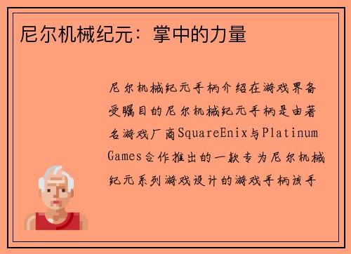 尼尔机械纪元：掌中的力量